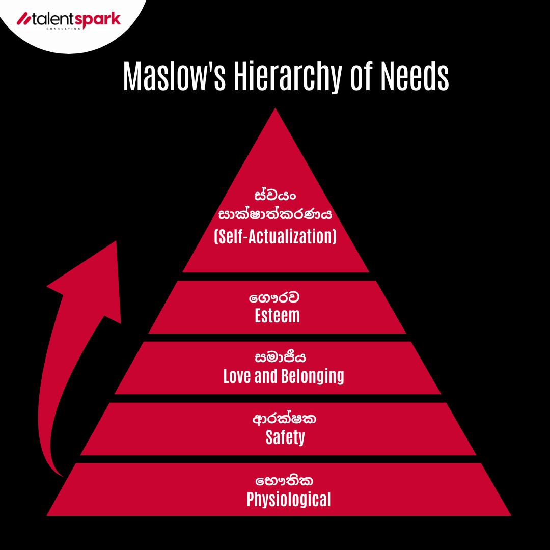 495433580_1006604901539433_1224875521944553278_n 2.jpg