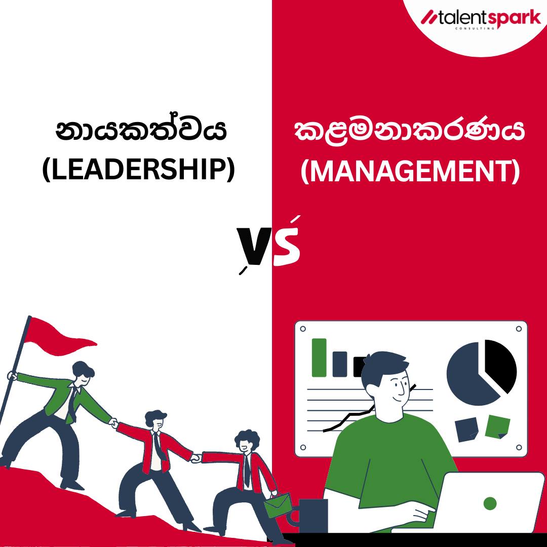 500040575_1017291733804083_5707076162740428512_n. 2jpg.jpg