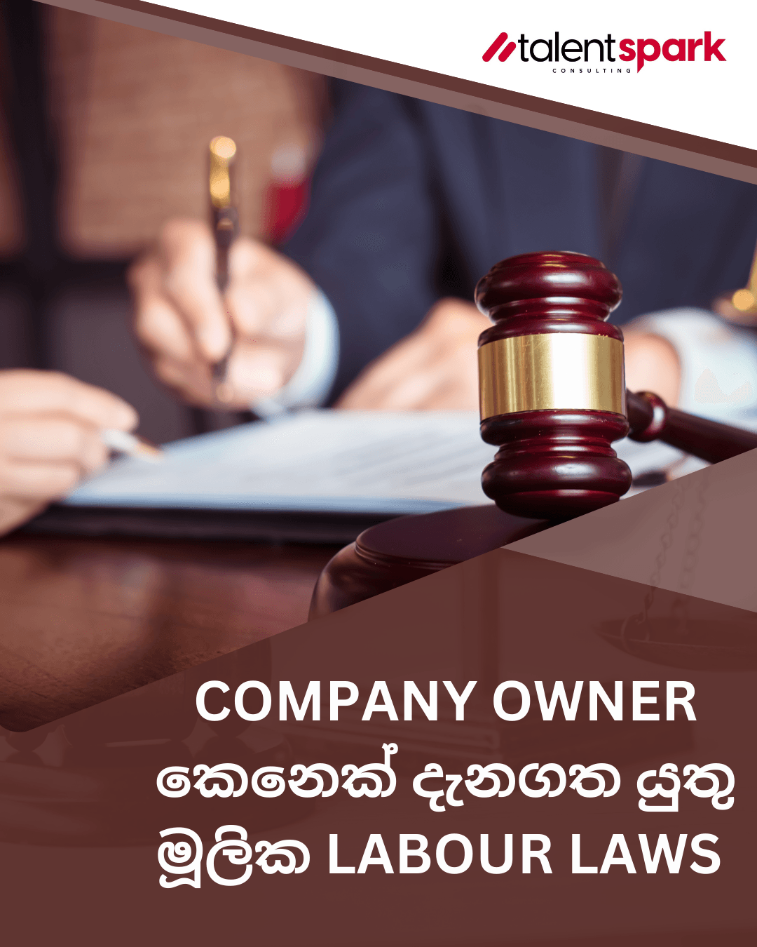 White and Brown Simple Geometric Law Firm Service Promotion Instagram Post.png